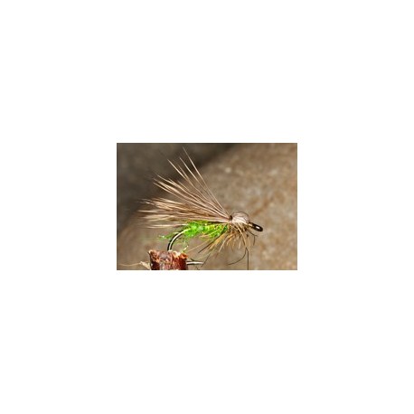 Bulletheadelkhaircaddis