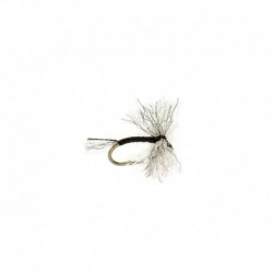 Bunny Midge Black