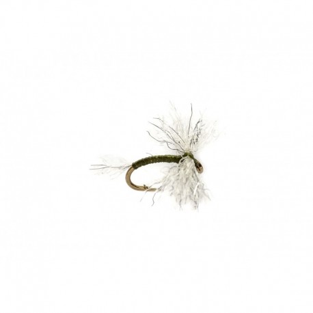 Bunny Midge Olive