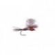 Burkholder S Purple Red Terrahumpy