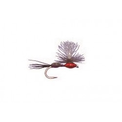 Burkholder S Purple Red Terrahumpy