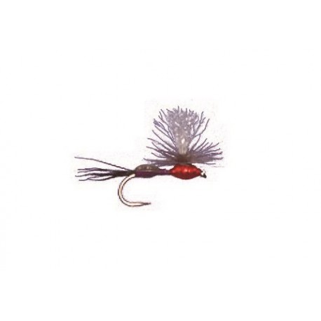 Burkholder S Purple Red Terrahumpy