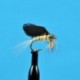 Burnt Wing Bwo
