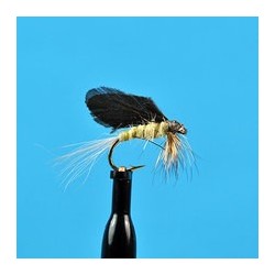 Burnt Wing Bwo