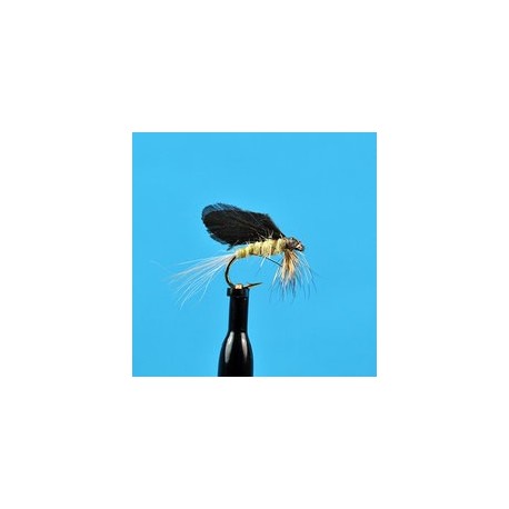 Burnt Wing Bwo