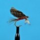 Burnt Wing Dark Hendrickson