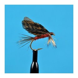 Burnt Wing Dark Hendrickson