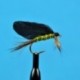 Burnt Wing Green Drake