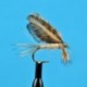 Burnt Wing Light Cahill