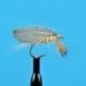 Burnt Wing Light Hendrickson