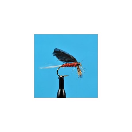 Burnt Wing Slated Winged Mahogany