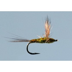 Bwo Comparadun