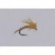 Bwo Ezc Emerger