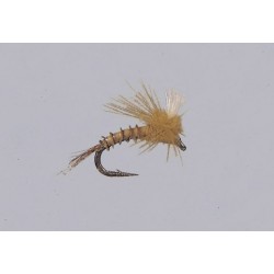 Bwo Ezc Emerger