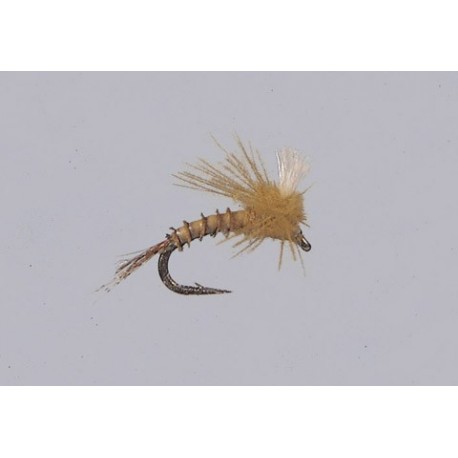 Bwo Ezc Emerger