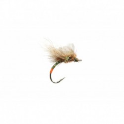 Bwo Fripple
