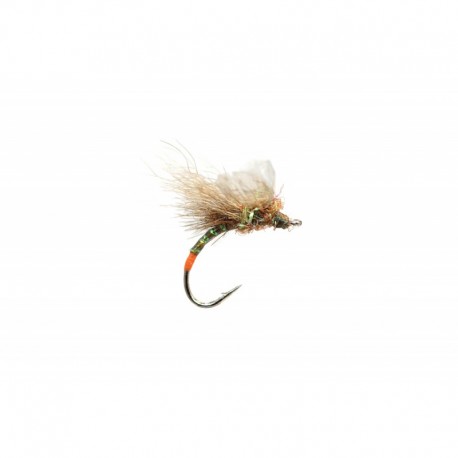 Bwo Fripple