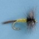 Bwo