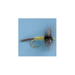 Bwo