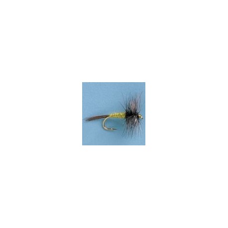 Bwo