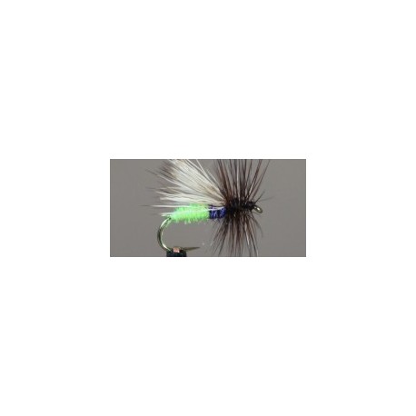 Caddis (Egg Layer)