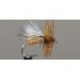 Caddis Adult (Variant)