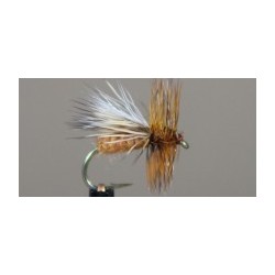 Caddis Adult (Variant)