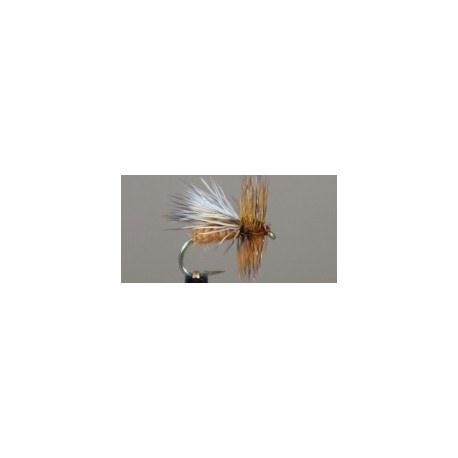 Caddis Adult (Variant)