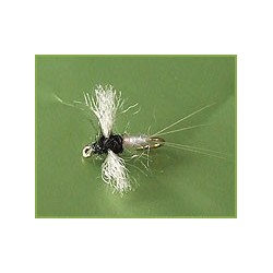 Caenis Spinner