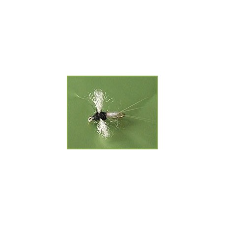 Caenis Spinner