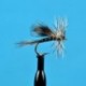 California Mosquito