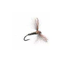 Callibaetis CDC Biot Spinner