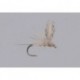 Callibaetis CDC Parachute