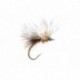 Callibaetis Fripple