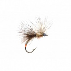 Callibaetis Fripple