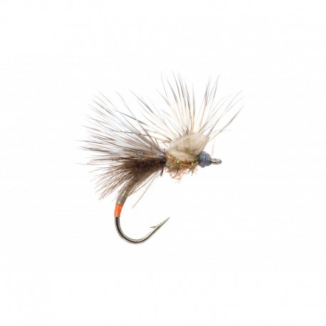 Callibaetis Fripple