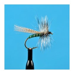 Canadian Sedge