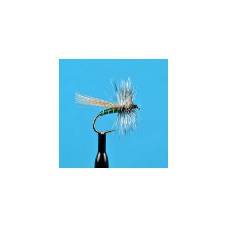 Canadian Sedge