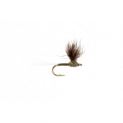 Cannon's Bunny Dun Baetis