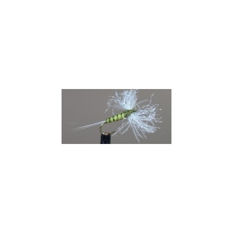 CDC Biot Spinner (Bwo)