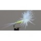 CDC Biot Spinner