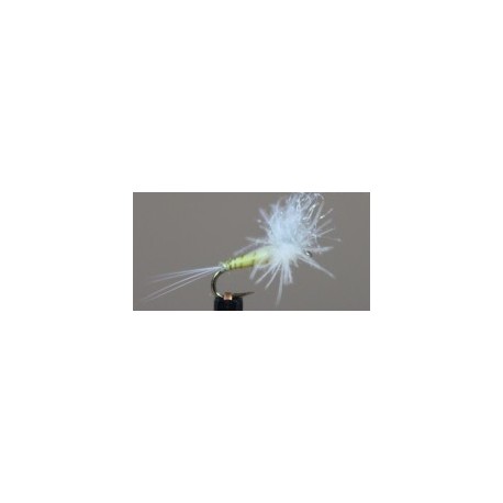 CDC Biot Spinner