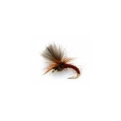 CDC Klinkhammer Brown