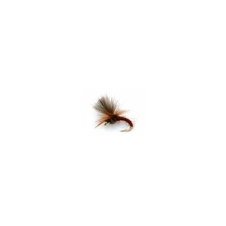 CDC Klinkhammer Brown