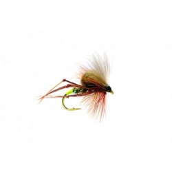 CDC Olive