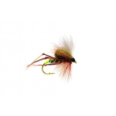 CDC Olive