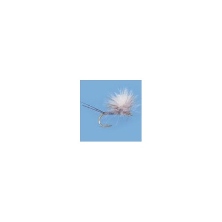 CDC Parachute Adams