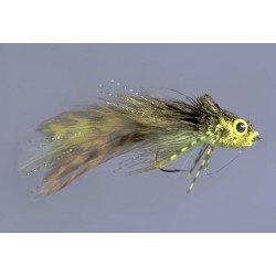 Daves Diving Frog Yellow Belly