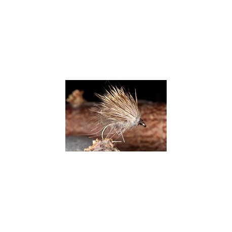 CDC bubble caddis
