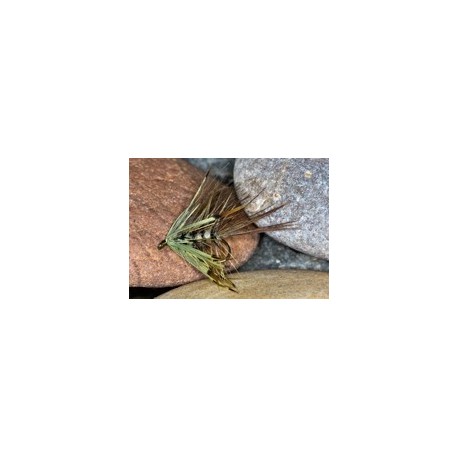 CDC mayfly
